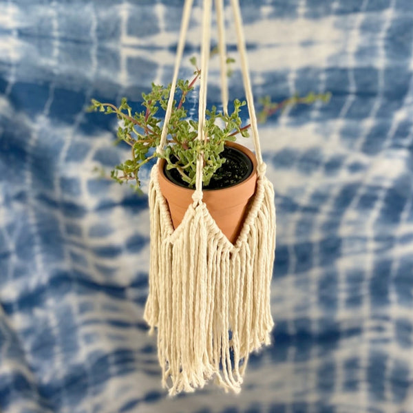 Boho Fringe Macrame Plant Hanger PDF Pattern