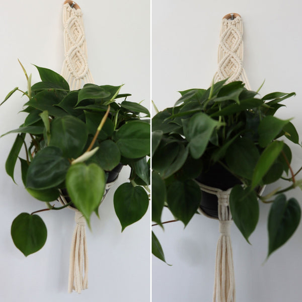 Woven Diamonds Macrame Wall Plant Hanger Pattern PDF Pattern