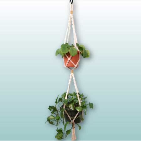 5 Macrame Plant Hanger Patterns Bundle
