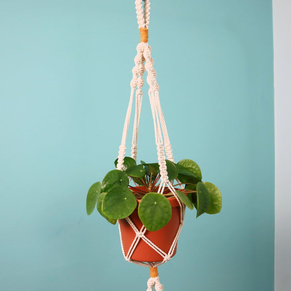 Double Macrame Plant Hanger PDF Pattern