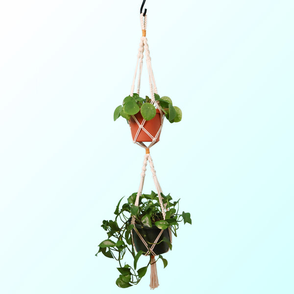 Double Macrame Plant Hanger PDF Pattern
