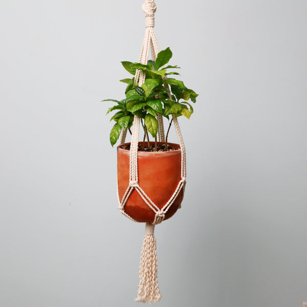 bottom portion of spiral macrame plant hanger