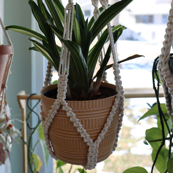 Low Key and Tassel Free Macrame Plant Hanger PDF Pattern