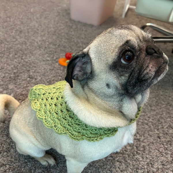 Daisy's Crochet Dog Bandana Scarf Pattern