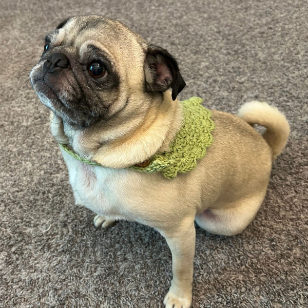 Daisy's Crochet Dog Bandana Scarf Pattern