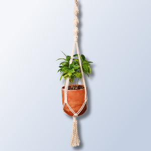 spiral macrame plant hanger with a plant inside